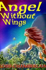 angel-without-wings-by-ross-chamberlain-1382576984-jpg