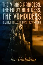 the-viking-princess-the-fairy-huntress-the-1591745020-jpg