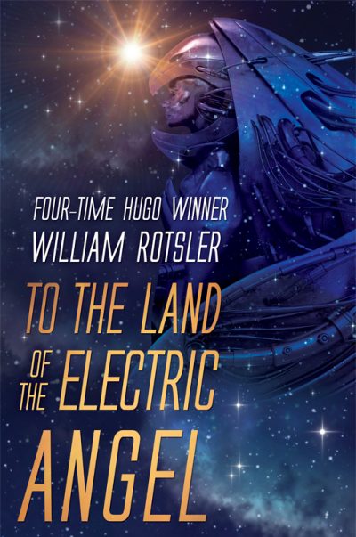 to-the-land-of-the-electric-angel-by-william-1591396426-jpg